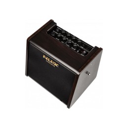 Image d'un Ampli Acoustique AC-25, de la marque Nux