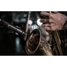 Image d'un Microphone Instrument SM57-LCE, de la marque Shure