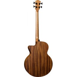 Image d'une Basse Électro-Acoustique HyVibe 10 HV10BCE, de la marque Lâg