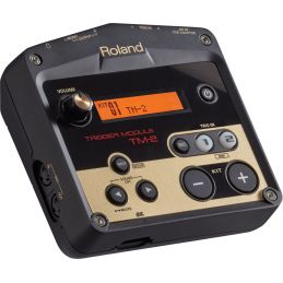 ROLAND TM2