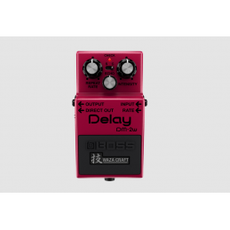Image d'une pédale Delay DM-2W, de la marque Boss