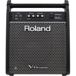 ROLAND PM100