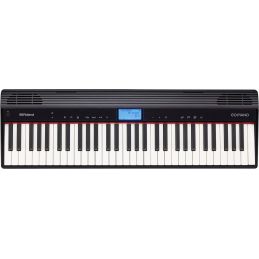 ROLAND GO61P