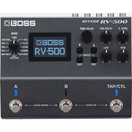 BOSS RV500