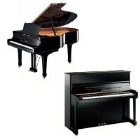 Pianos Acoustiques