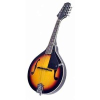 Mandolines Banjos Dobros - Sam Music