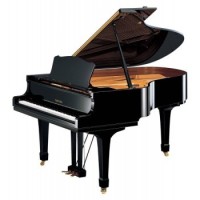 Pianos à Queue