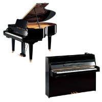 Pianos Silents/Disklavier